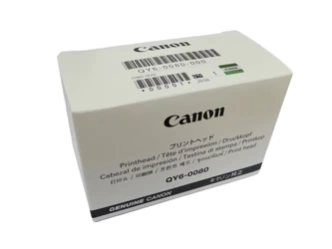 Głowica Oryginalna Canon Pixma MX895 IX6550 MG5250 QY6-0080