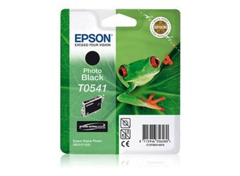 Tusz Oryginalny Epson T0541 Stylus Photo R800 R1800 Foto Czarny
