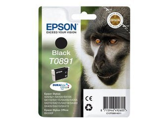 Tusz Oryginalny Epson T0891 Stylus S20 S21 SX100 SX110 SX200 SX400 Czarny